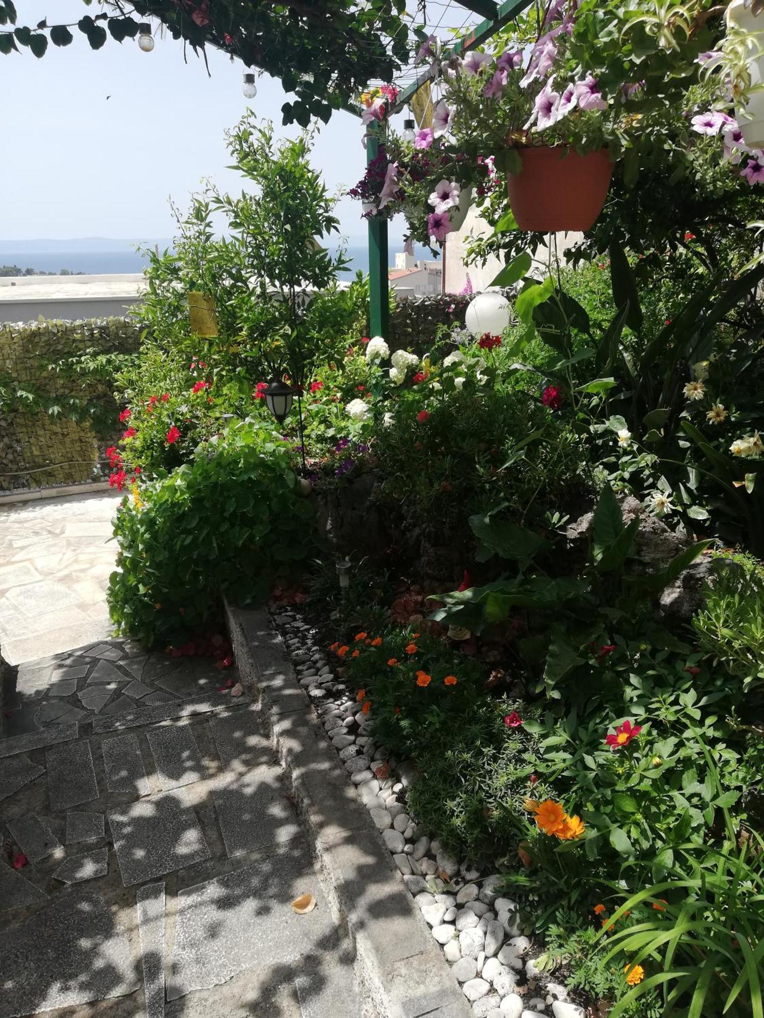 Apartment D&M1 Makarska Extérieur photo